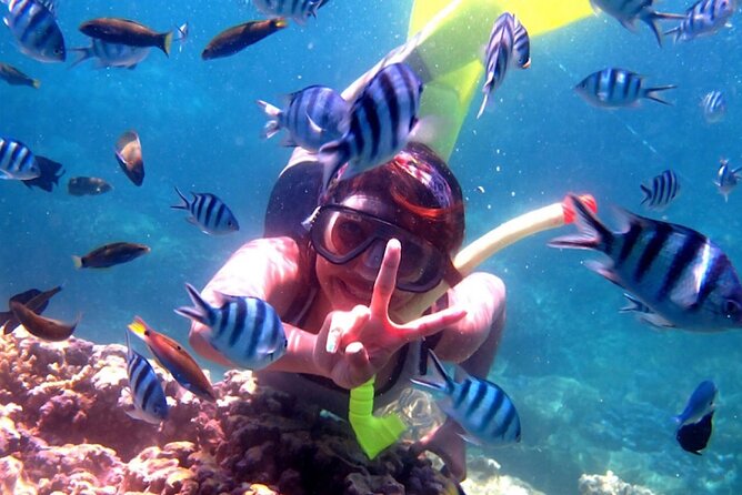Dolphin Watching Tour, Swimming with Dolphins and Snorkeling - Getting ready at Lovina Beach before sunrise