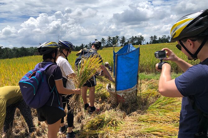 Downhill Cycling Ubud with Volcano, Rice Terrace and Educational - Who will enjoy this ride most