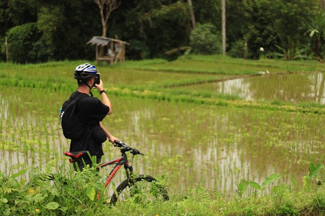 Downhill Cycling Ubud with Volcano, Rice Terrace and Educational - Practical advice before you book