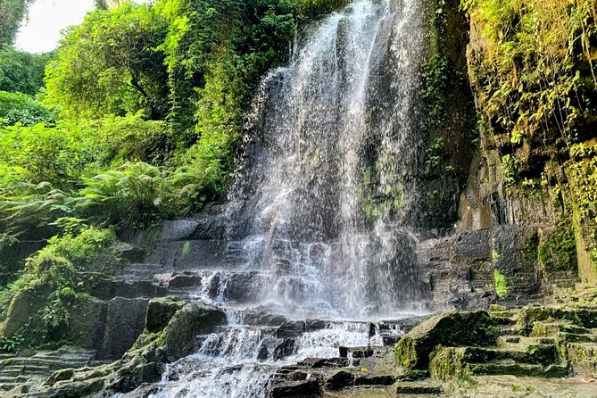 East Bali Lempuyang Temple Tirta Gangga and Waterfall Tour - Tirta Gangga’s royal ponds and gardens