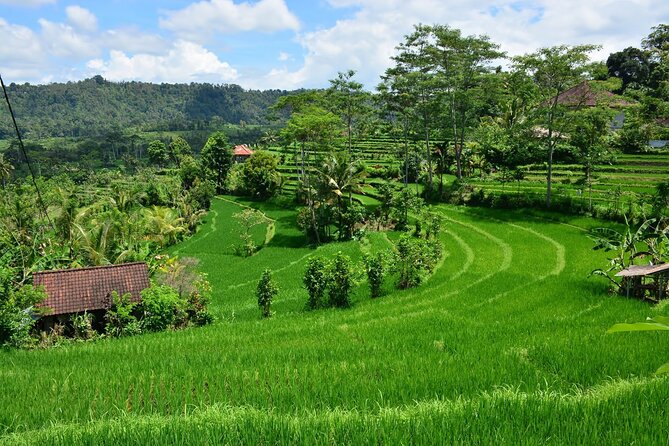 East Bali Tour: Gate of Heaven, Water Palace, Sleeping Gajah - Booking, cancellation, and practical details