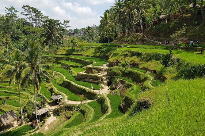 East of Bali Tour with Lempuyang Temple, Waterfall, Tirta gangga - Why the private car changes the day