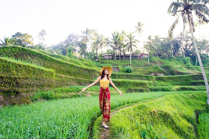 East of Bali Tour with Lempuyang Temple, Waterfall, Tirta gangga - Is $63 good value?