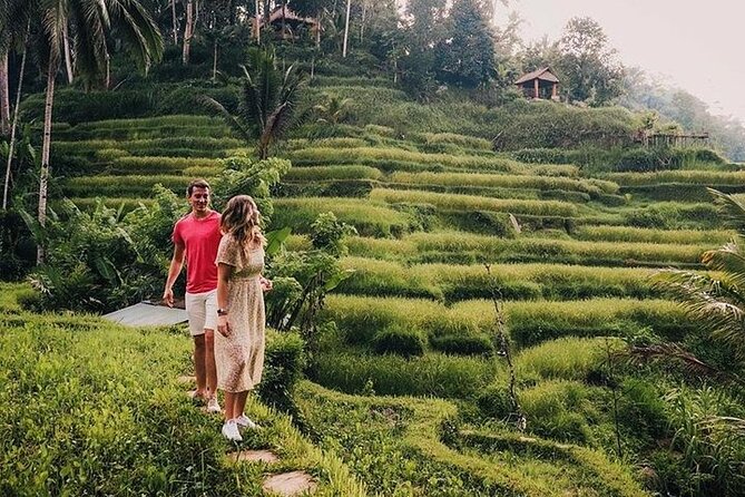East of Bali Tour with Lempuyang Temple, Waterfall, Tirta gangga - Booking details that affect your decision