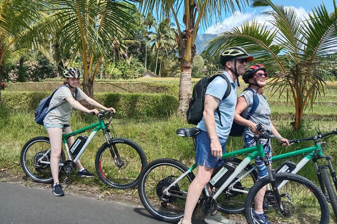Electric bicycle tour in Jatiluwih UNESCO site - Key points to know before you book