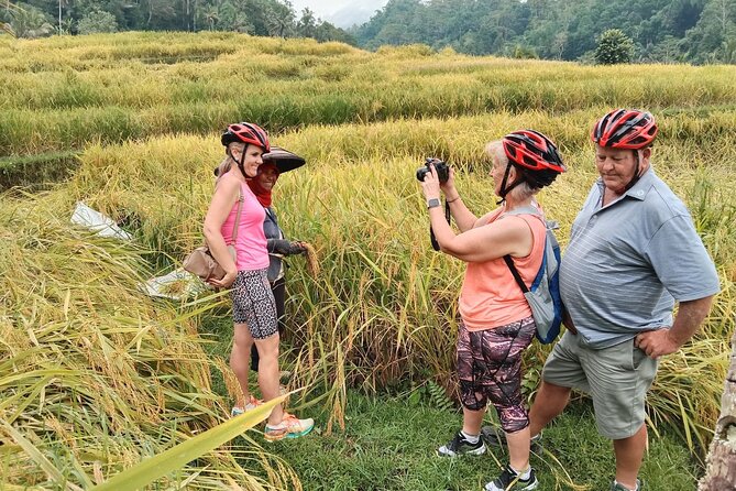 Electric bicycle tour in Jatiluwih UNESCO site - Why Jatiluwih works so well by bicycle