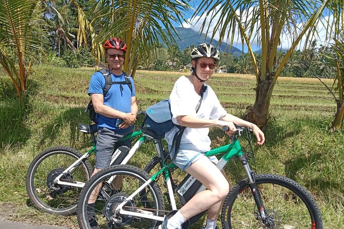 Electric bicycle tour in Jatiluwih UNESCO site - Seeing working farms, not just famous terraces