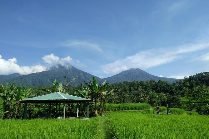 Electric bicycle tour in Jatiluwih UNESCO site - Weather, comfort, and practical limits