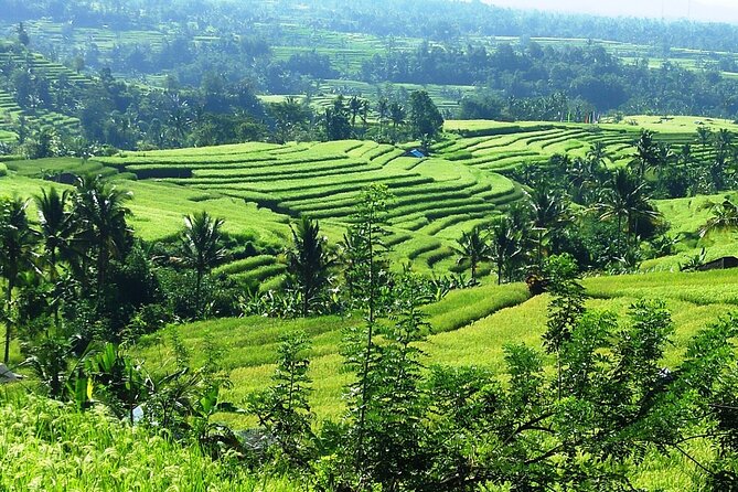 Electric bicycle tour in Jatiluwih UNESCO site - Who will enjoy this Jatiluwih e-bike tour