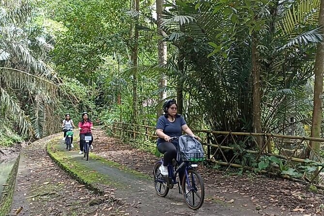 Electric bicycle tour in quaint South Ubud - Why South Ubud works so well by electric bike