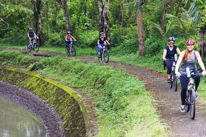 Electric bicycle tour in quaint South Ubud - Mambal’s rice and flower fields