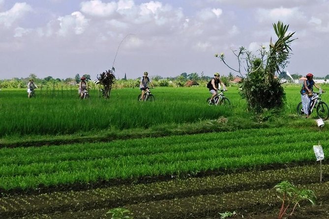 Electric bicycle tour in quaint South Ubud - Who should book this ride?