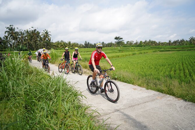 Electric Bike and Swing Package - Key details to know before booking