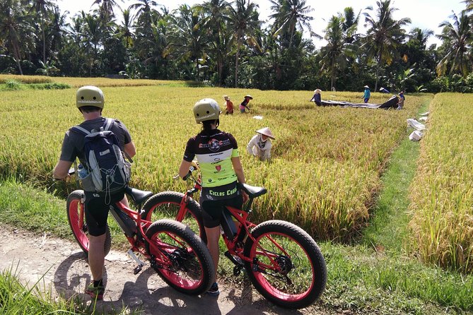 Electric Bike Tour in Ubud - Why an e-bike is a smart way to see Ubud