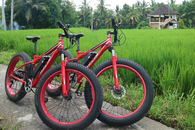 Electric Bike Tour in Ubud - Hotel pickup and getting ready at Puri Bebengan