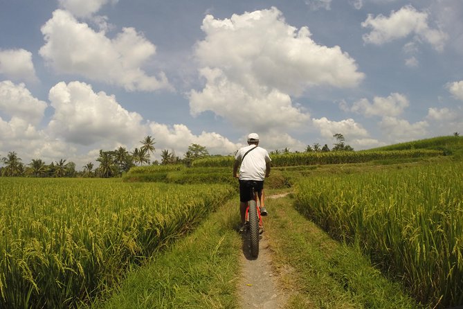 Electric Bike Tour in Ubud - Tegalalang Village and the rice terraces