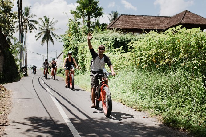Electric Bike Tour in Ubud - A strong guide can make or break the ride