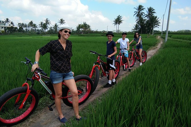 Electric Bike Tour in Ubud - Following the Sok Wayah rice-field paths