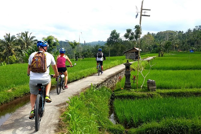 Electric Cycling Tour of Ubud with Free Hotel Transfer and Lunch - Riding through Ubud’s village roads