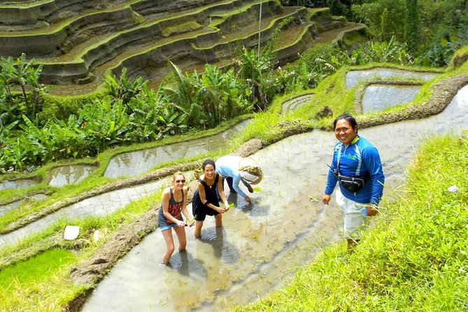Electric Cycling Tour of Ubud with Free Hotel Transfer and Lunch - Tegalalang Rice Terrace and the best photo stops