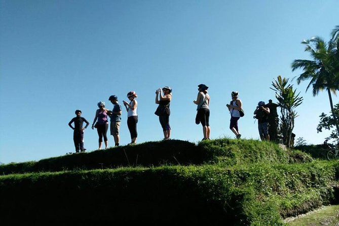 Electric Cycling Tour of Ubud with Free Hotel Transfer and Lunch - Temples, homes, and a closer look at Balinese life
