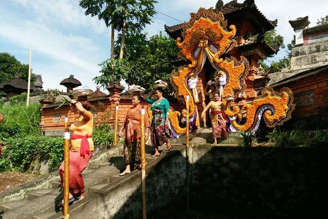 Electric Cycling Tour of Ubud with Free Hotel Transfer and Lunch - The jungle swing and plantation stop