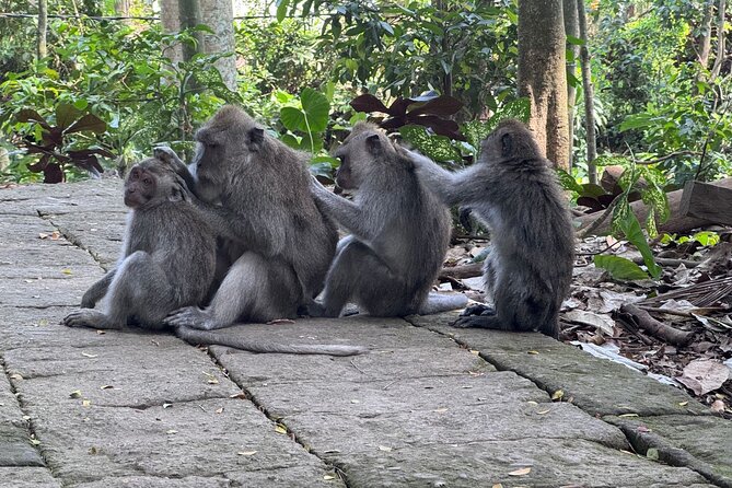 Exclusive Ubud Experience: Nature, Culture & Adventure in One Day - Tegenungan or Tukad Cepung for a cool break
