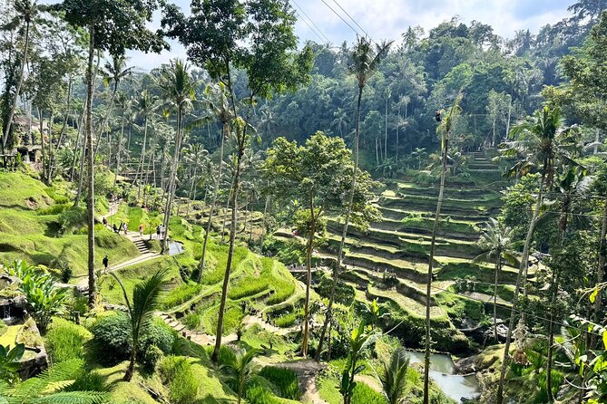 Exclusive Ubud Experience: Nature, Culture & Adventure in One Day - Lunch at Warung Dewa Malen