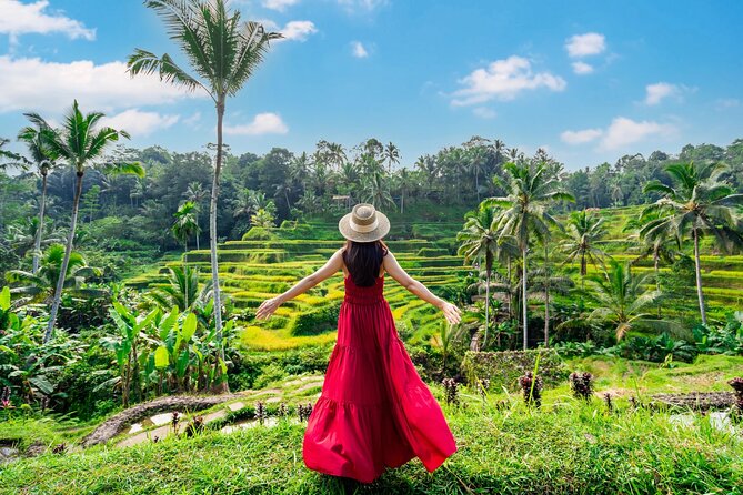 Exclusive Ubud Experience: Nature, Culture & Adventure in One Day - The private car and the guides