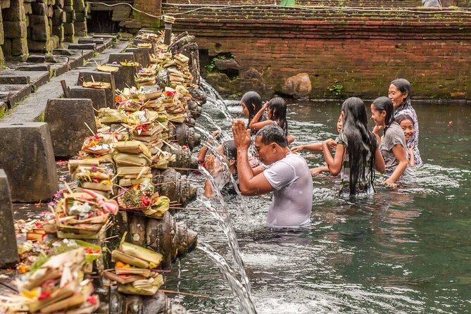 Exclusive Ubud Experience: Nature, Culture & Adventure in One Day - Tegallalang rice terraces and the jungle swing
