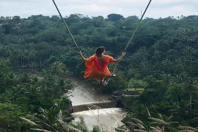 Experience Full Day to Bali Swing Temple and Monkey Forest - Key points to know before booking