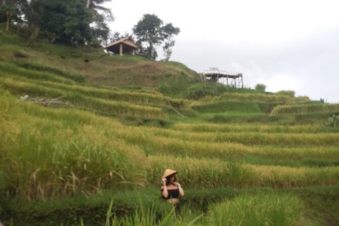 Experience Full Day to Bali Swing Temple and Monkey Forest - Batuan Temple and its tenth-century design