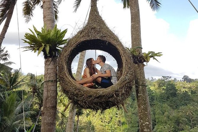 Experience Full Day to Bali Swing Temple and Monkey Forest - A private start through Bali’s heavy traffic