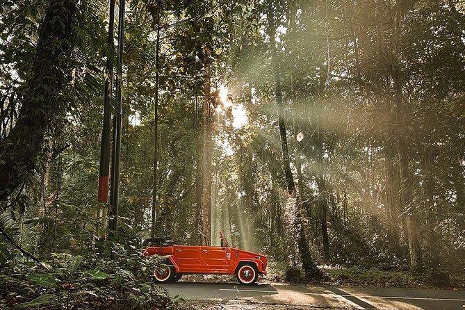 Explore Bali's Hidden Gems In a Classic Vw Convertible - Tegenungan Waterfall: a short walk and a possible swim