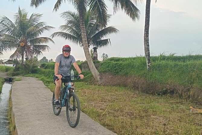 Explore Rice Fields and Hidden Villages with Ubud E-Bike Tour - How the $44.07 price measures up