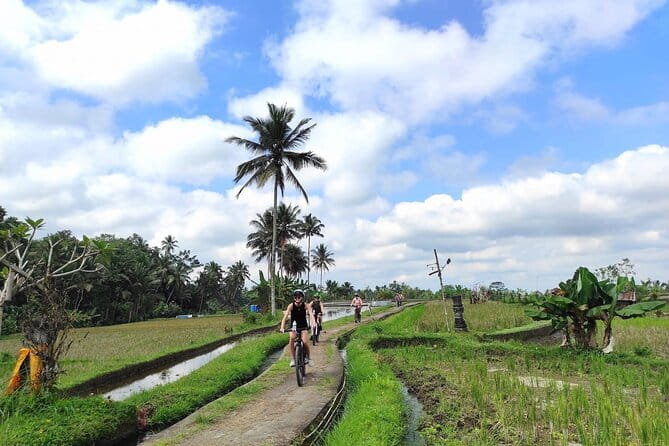 Explore Rice Fields and Hidden Villages with Ubud E-Bike Tour - Who will enjoy this Ubud e-bike tour most