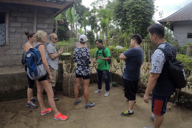 Explore Ubud with Electric Bike - Why this half-day ride works well in Ubud