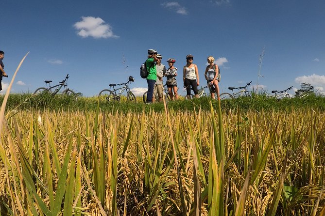 Explore Ubud with Electric Bike - Riding an electric bike through the Ubud area