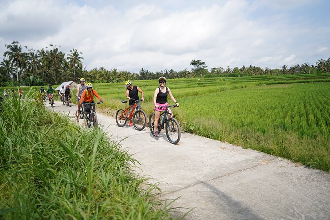 Explore Ubud with Electric Bike - Food, views, and what is included