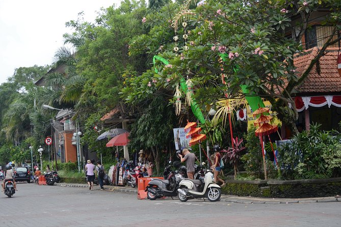 Famous Ubud villlage and Dance Tour with Rice Terrace And Waterfall Visit - Why the private vehicle matters in Bali