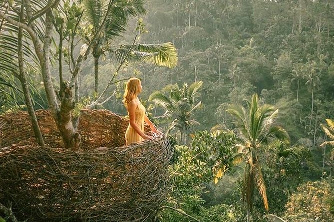 Fantastic Ubud Tour with Jungle Swing - Tegalalang Rice Terrace shows Ubud’s farming side
