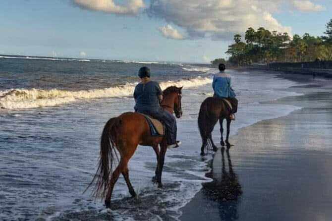 From Ubud 1 Hour Horse Riding at The Beach Experiences - What to bring and how to plan the day