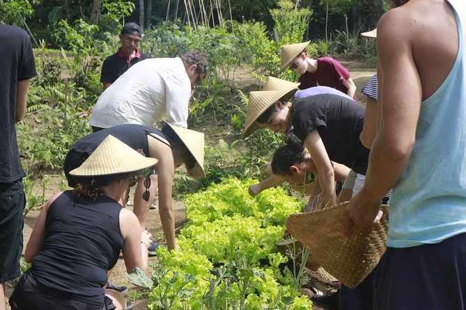 From Ubud: Authentic Bali Farm Cooking School & Organic Farm - The farm meal is the payoff
