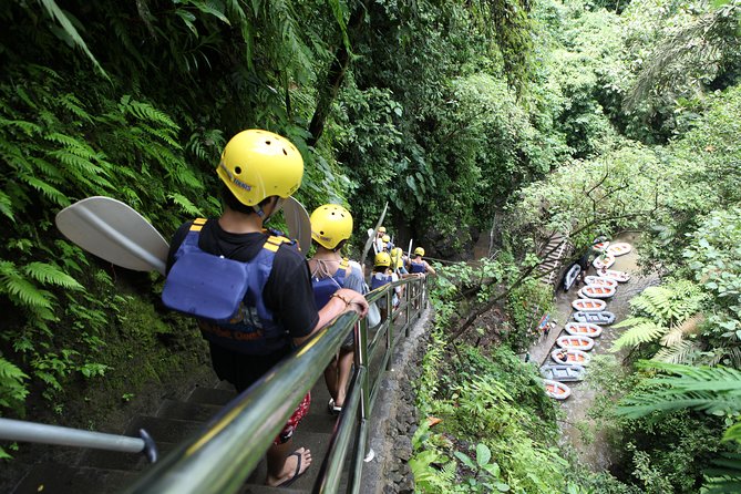 Full-Day Ayung River White Water Rafting and Ubud Tour - What the $45 price really covers