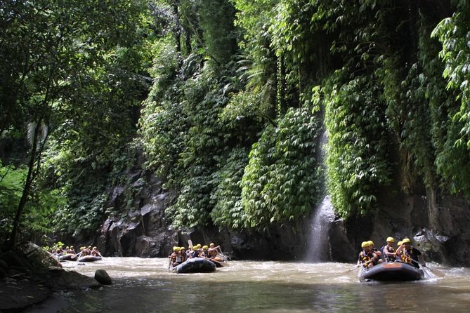 Full-Day Ayung River White Water Rafting and Ubud Tour - Who should book this full-day combination