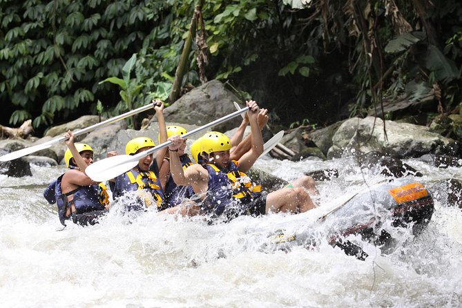 Full-Day Ayung River White Water Rafting and Ubud Tour - Lunch, showers, and the practical middle of the day
