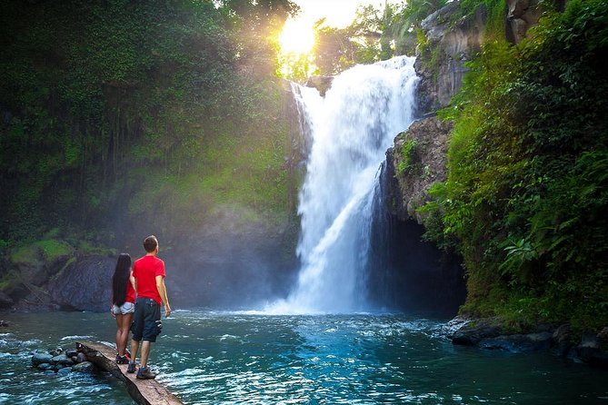 Full-Day in Bali: Amazing Ubud Tour - What the $57 price includes