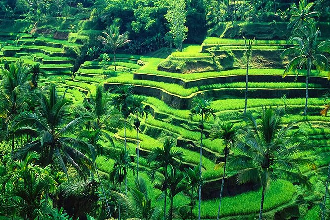 Full-Day in Bali: Amazing Ubud Tour - Batuan Temple, where the day starts with carved stone