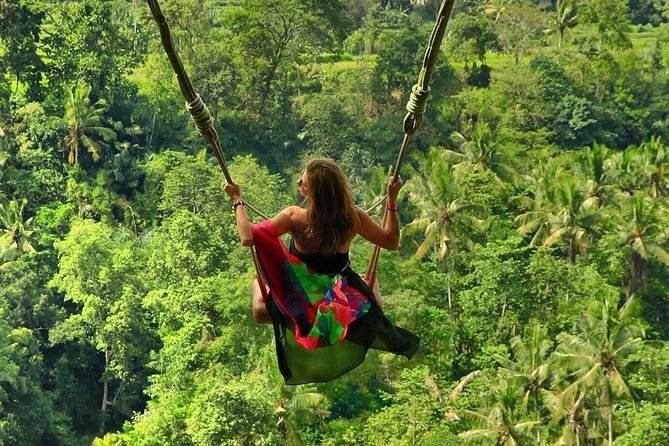 Full-Day in Bali: Private Design-Your-Own Tour - Why a private route works well in Bali