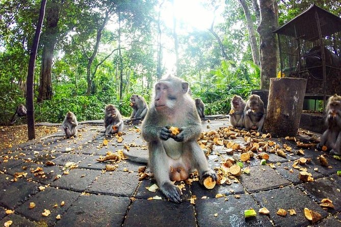Full-Day in Bali: Private Design-Your-Own Tour - Timing, traffic, and the real value of $35
